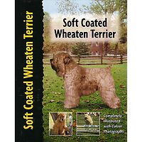 Soft Coated Wheaten Terrier - Pet Love