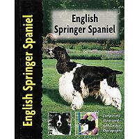 English Springer Spaniel - Pet Love