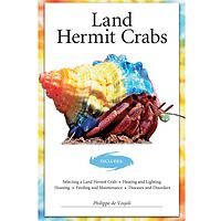 Land Hermit Crabs